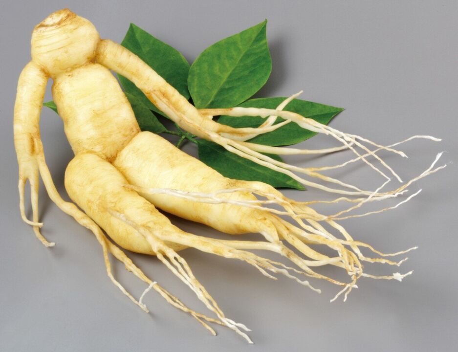 ginseng root for potency