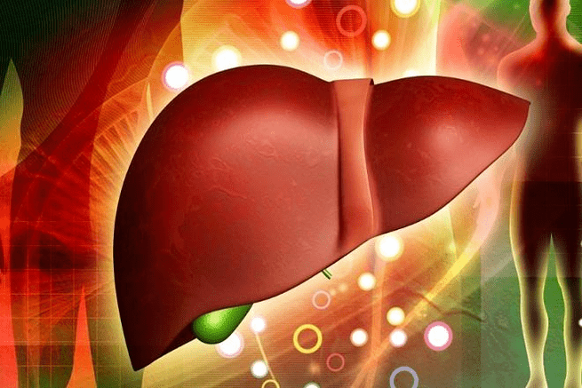 the effect of drugs for potency on the liver