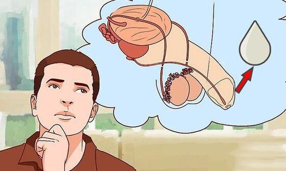 Discharge in men when excited