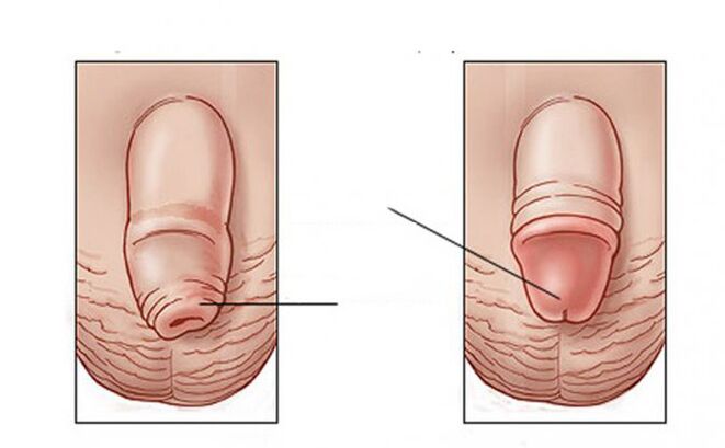 What task the lubricant performs